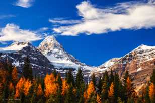 Morning at Mt. Assiniboine-1421 Morning at Mt. Assiniboine-1421